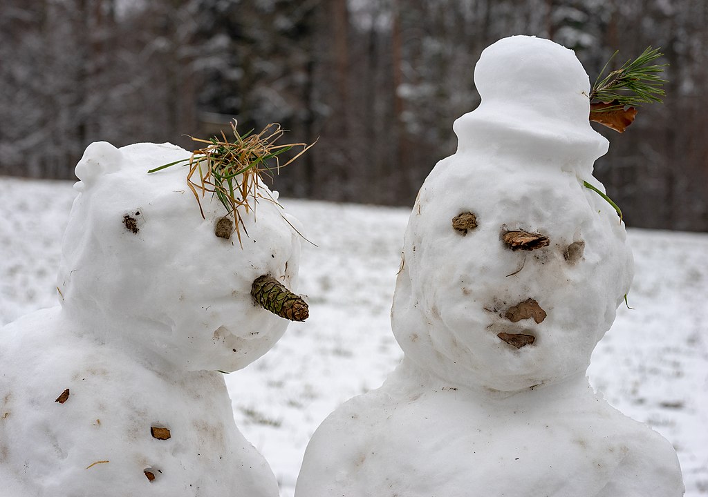 Jolly snow-couple