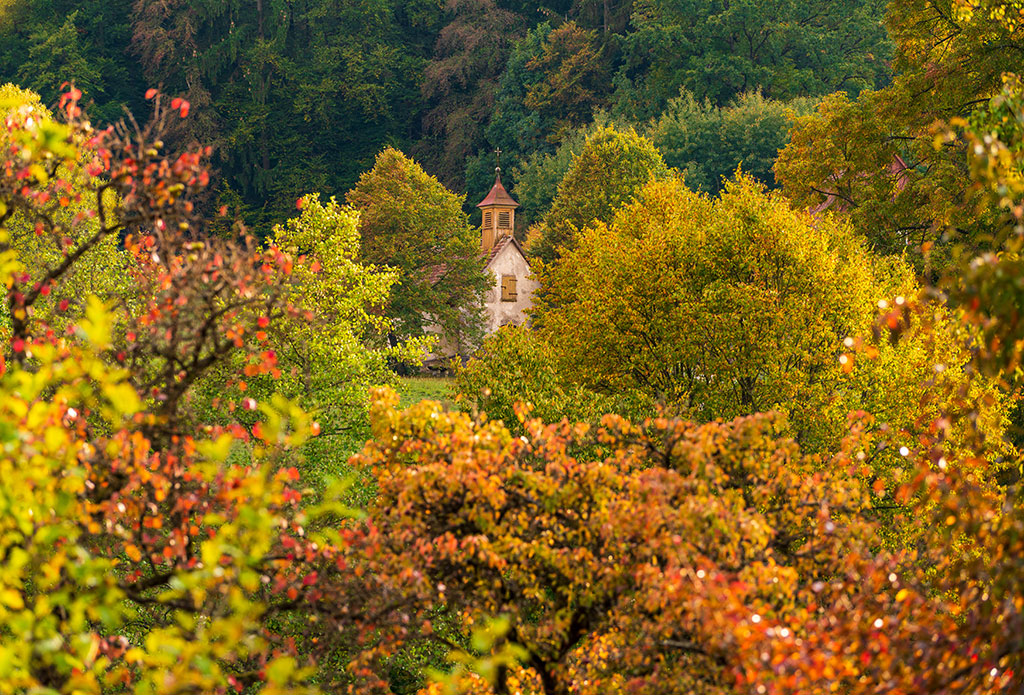 Chapel in the autumn leaves