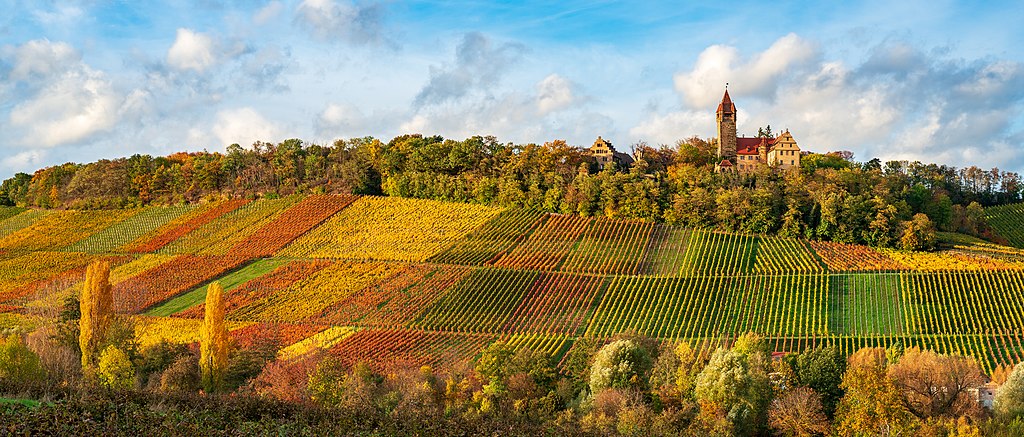 Vineyards of Stocksberg Castle, Stockheim, Brackenheim